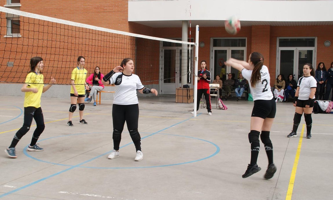 Las mejores imágenes del partido de voleibol infantil femenino entre Nuestra Señora del Carmen y Decroly