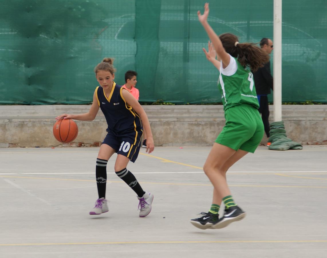Las mejores imágenes del partido de baloncesto infantil femenino entre San Juan Evangelista y BVM Irlandesas