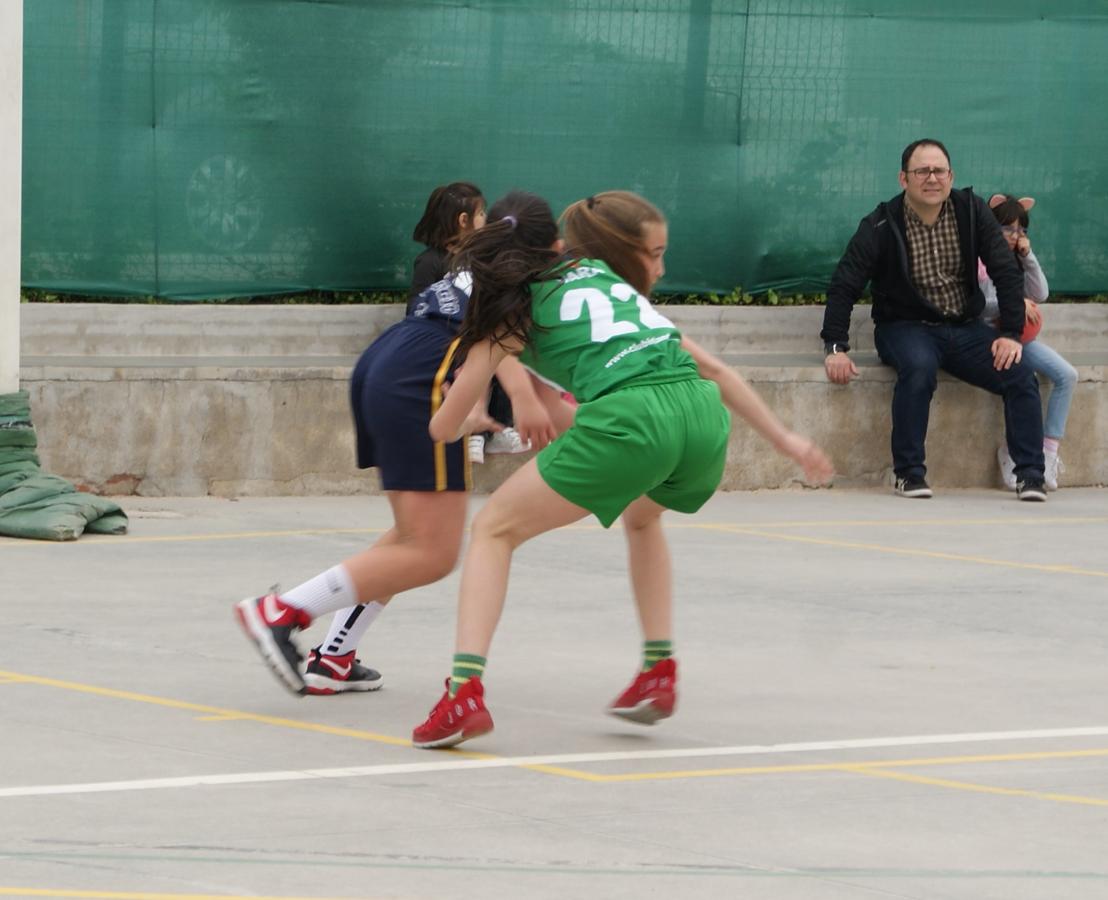 Las mejores imágenes del partido de baloncesto infantil femenino entre San Juan Evangelista y BVM Irlandesas