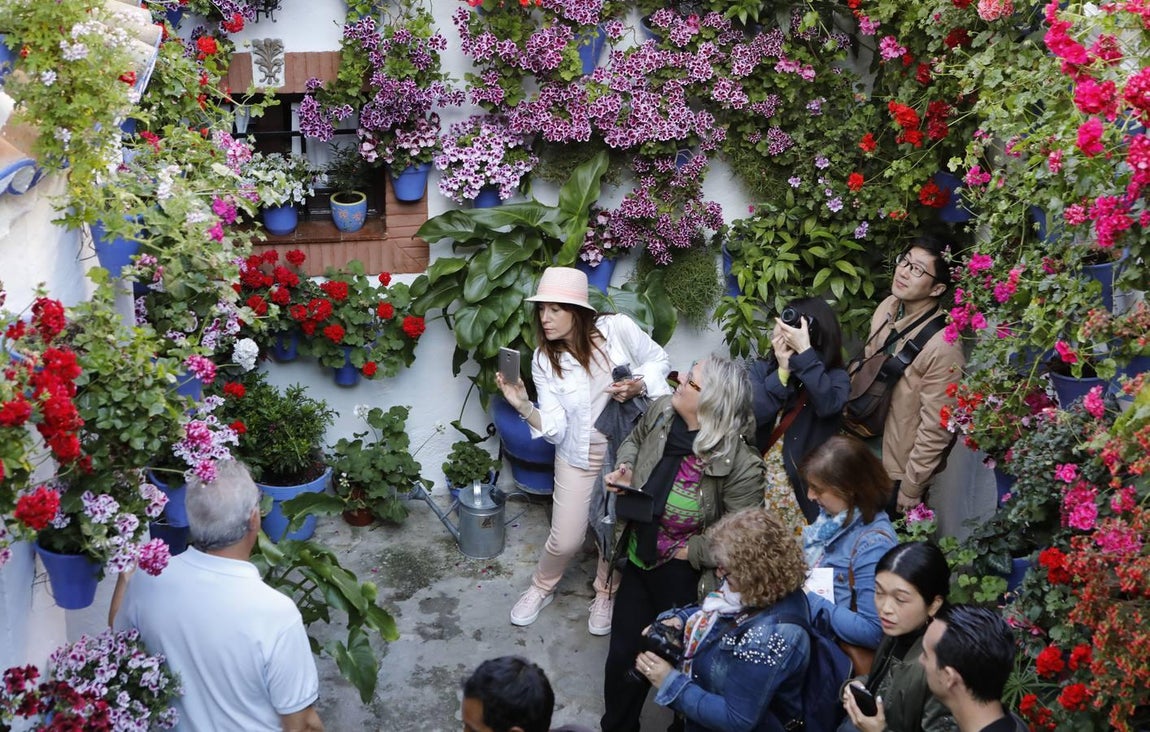 El día de estreno de los Patios de Córdoba de 2018, en imágenes