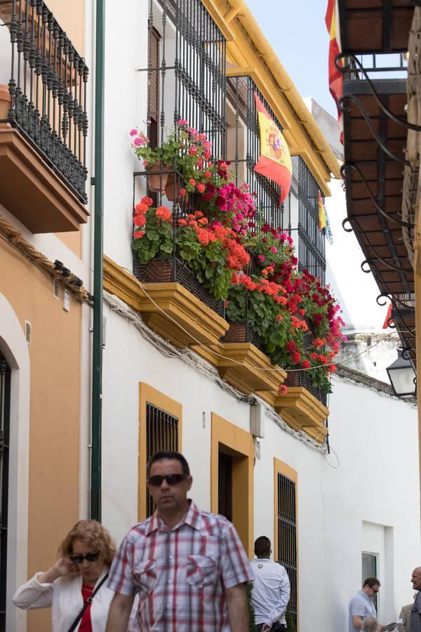La belleza de las rejas y balcones de Córdoba en mayo, en imágenes