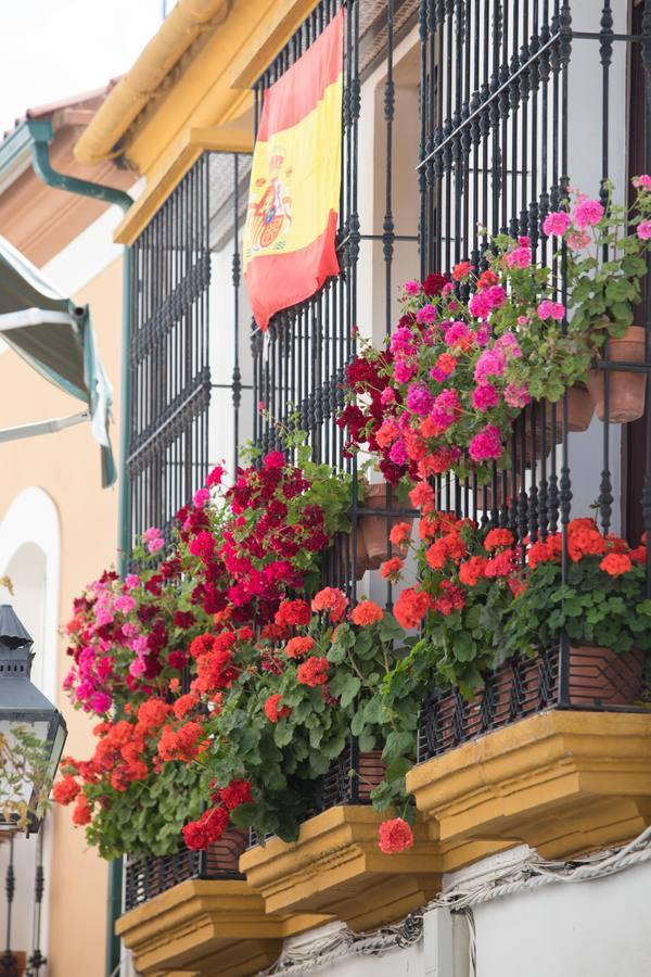 La belleza de las rejas y balcones de Córdoba en mayo, en imágenes