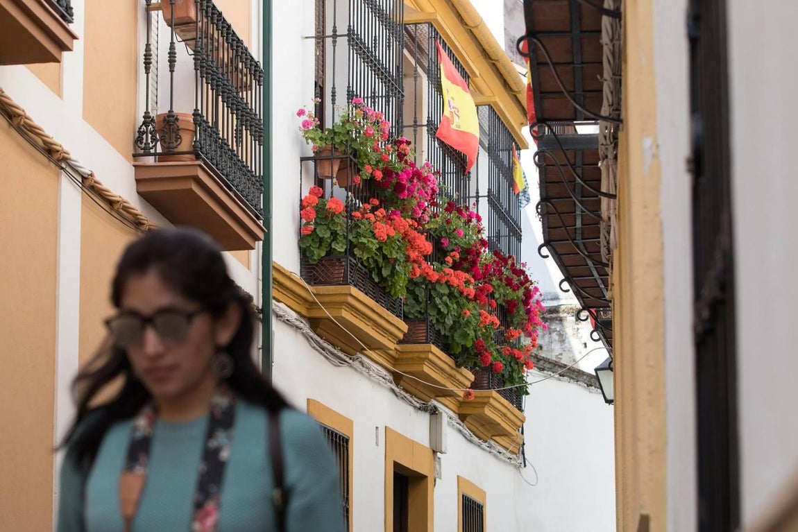 La belleza de las rejas y balcones de Córdoba en mayo, en imágenes