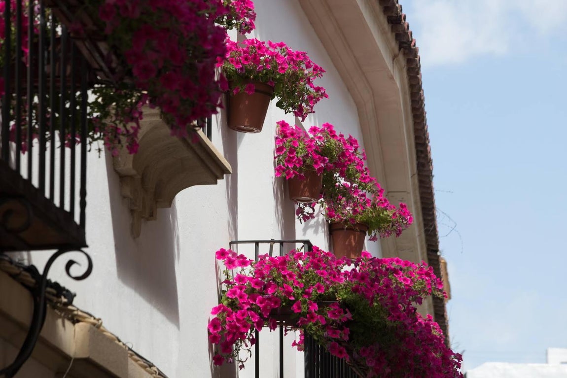 La belleza de las rejas y balcones de Córdoba en mayo, en imágenes