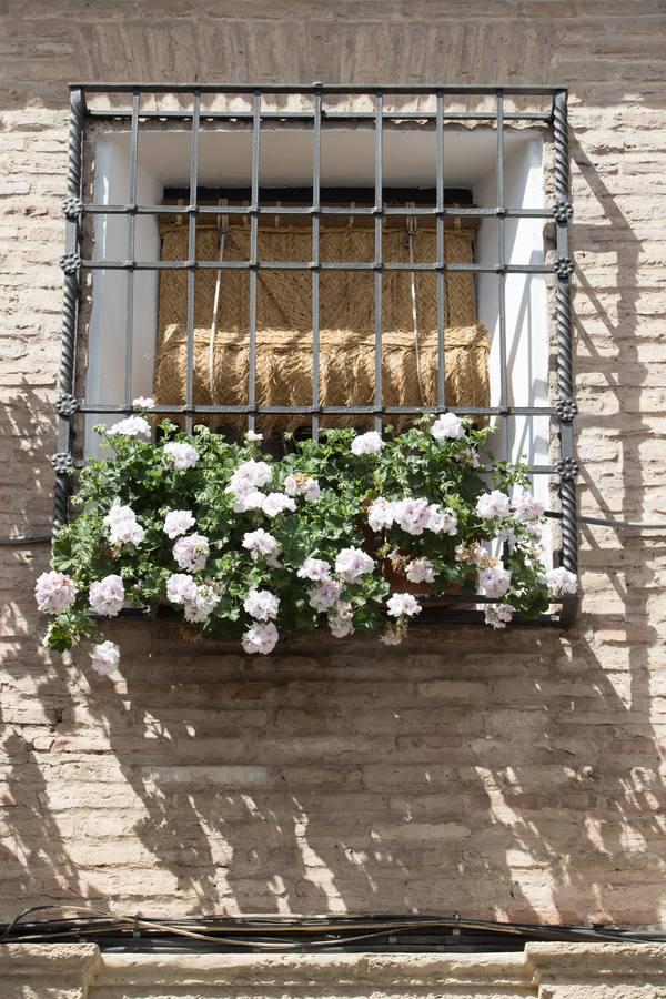 La belleza de las rejas y balcones de Córdoba en mayo, en imágenes