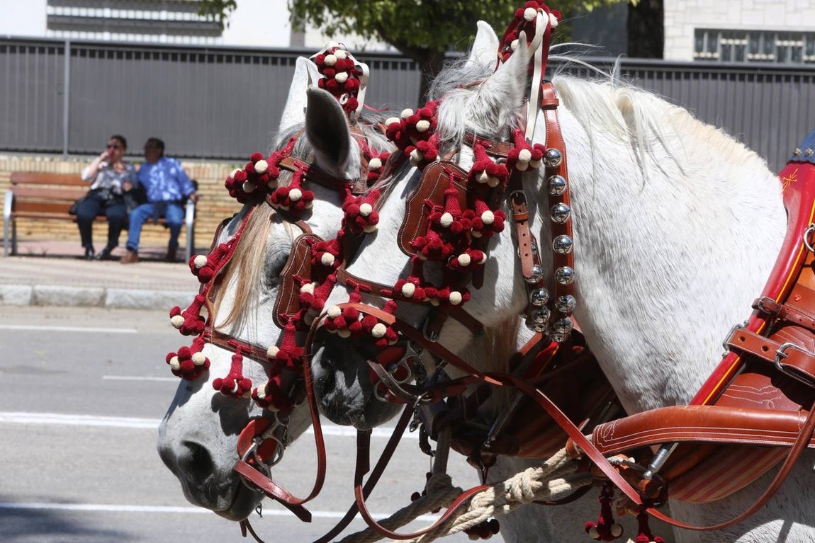 FOTOS: Ambientazo en la Feria del Caballo de Jerez este domingo