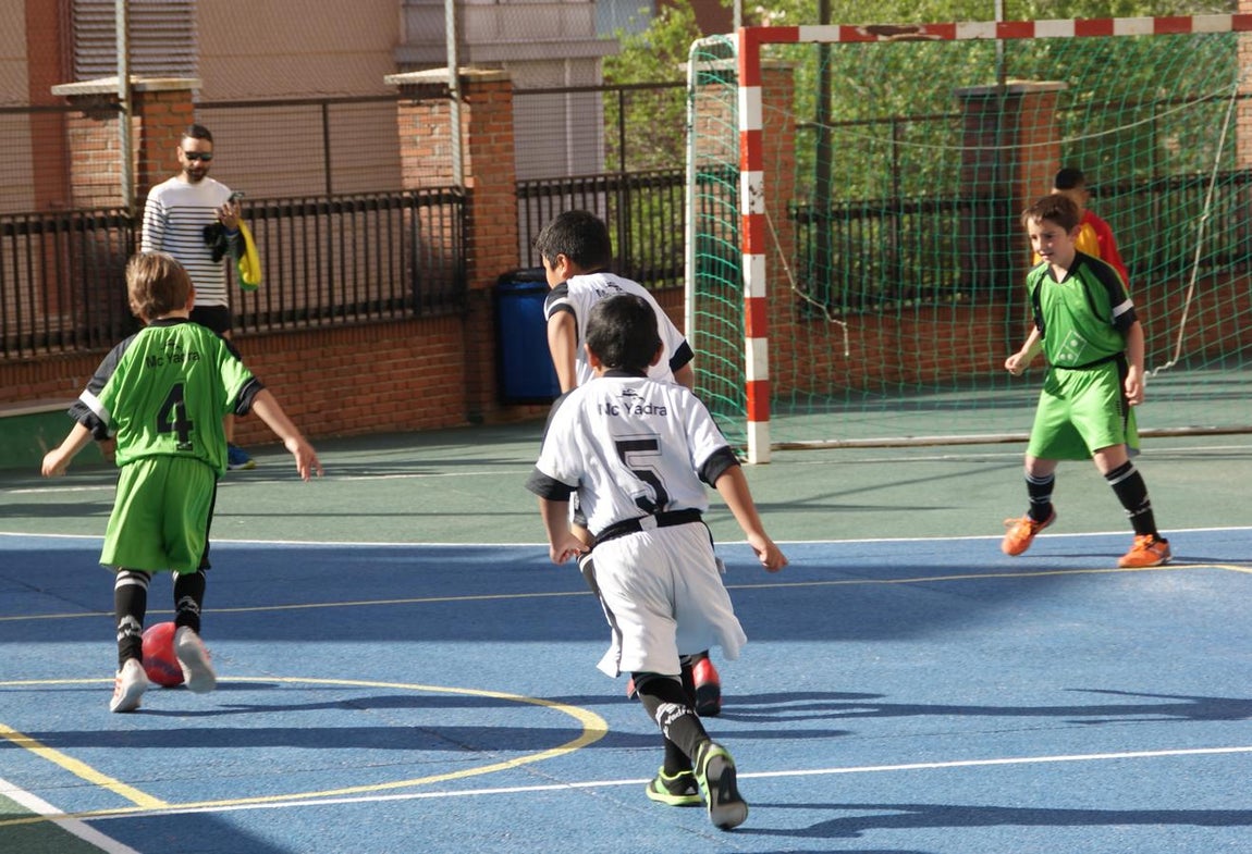 Las mejores imágenes del partido de fútsal benjamín mixto entre Ntra. Sra. Sagrado Corazón y Capuchinos “B”