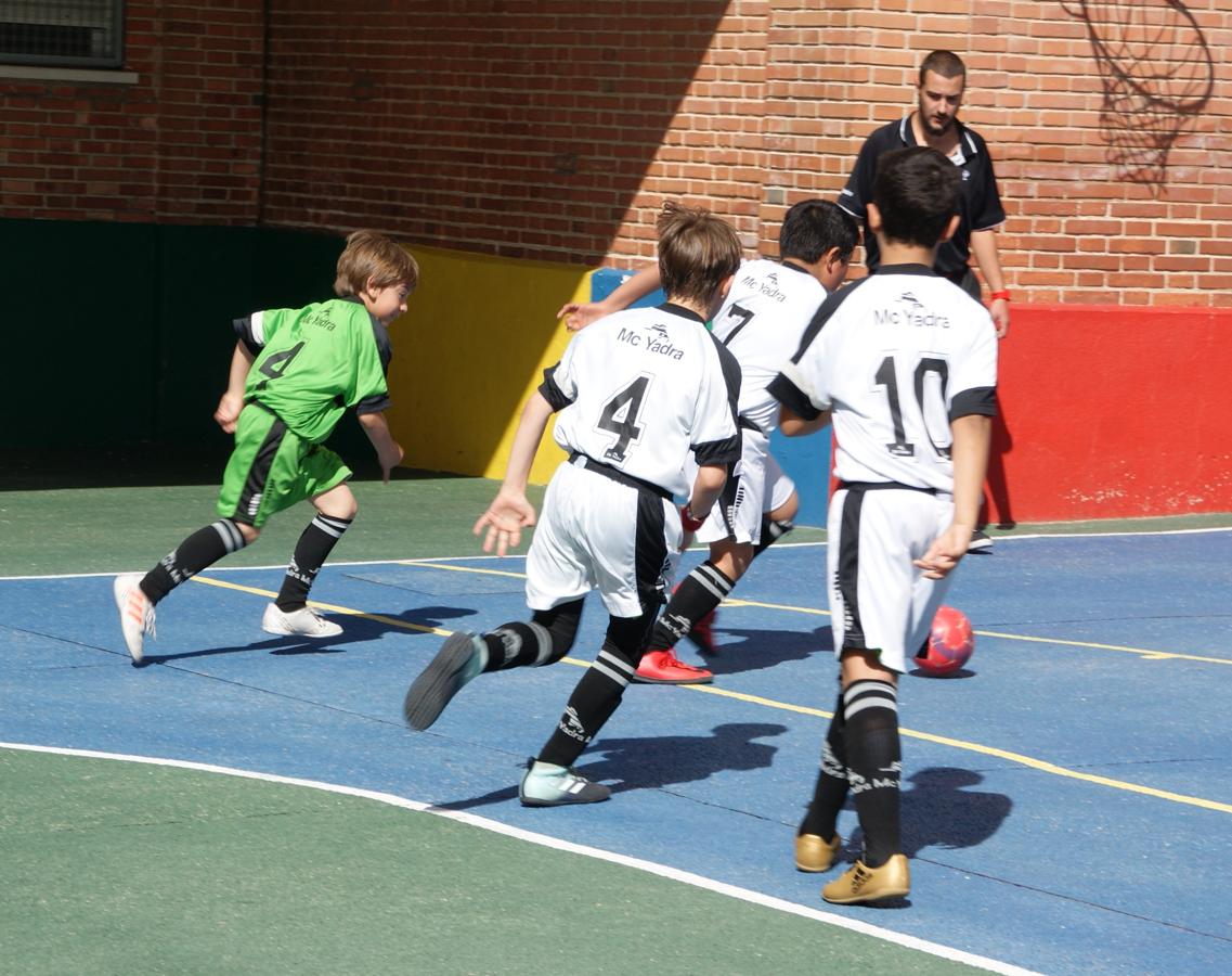 Las mejores imágenes del partido de fútsal benjamín mixto entre Ntra. Sra. Sagrado Corazón y Capuchinos “B”