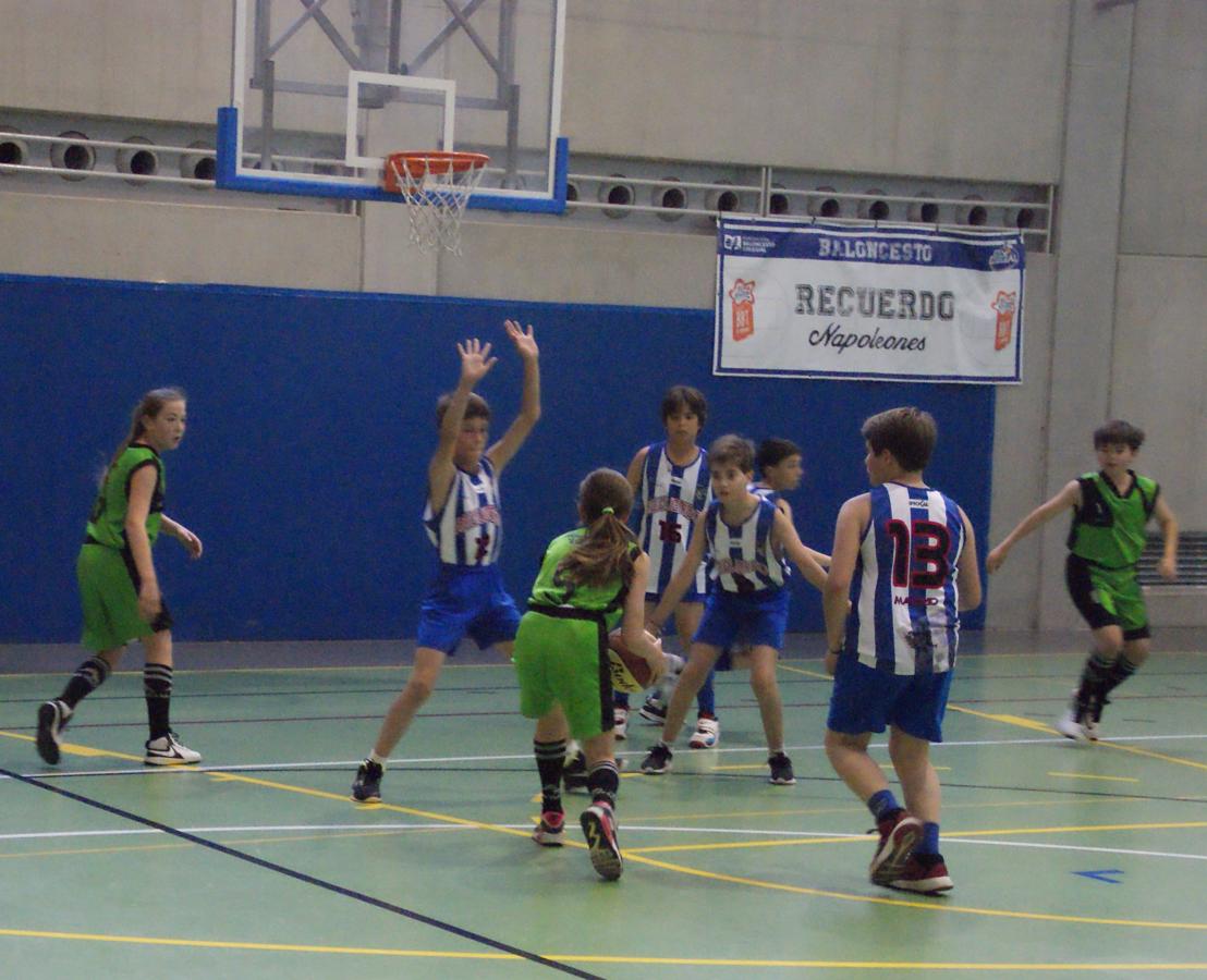 Las mejores imágenes del partido de baloncesto alevín masculino entre Ntra. Sra. Recuerdo y Sagrada Familia Jorge Juan