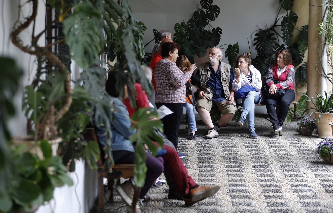 Los patios del Palacio de Viana de Córdoba, en imágenes