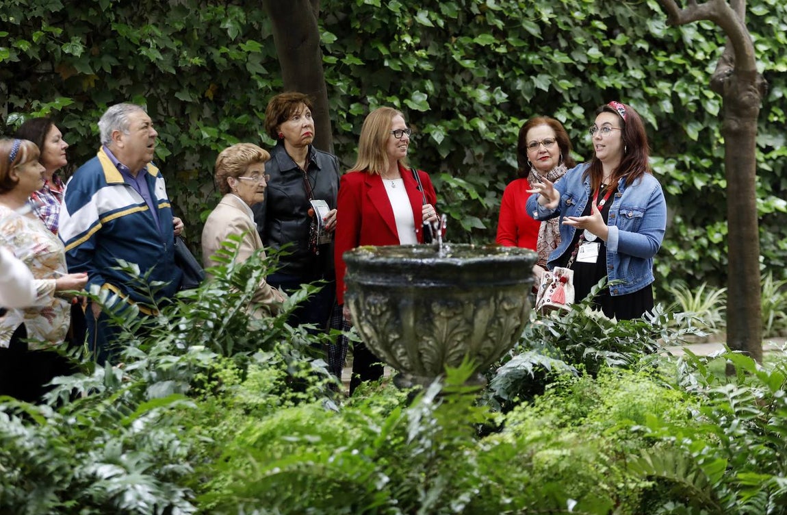 Los patios del Palacio de Viana de Córdoba, en imágenes