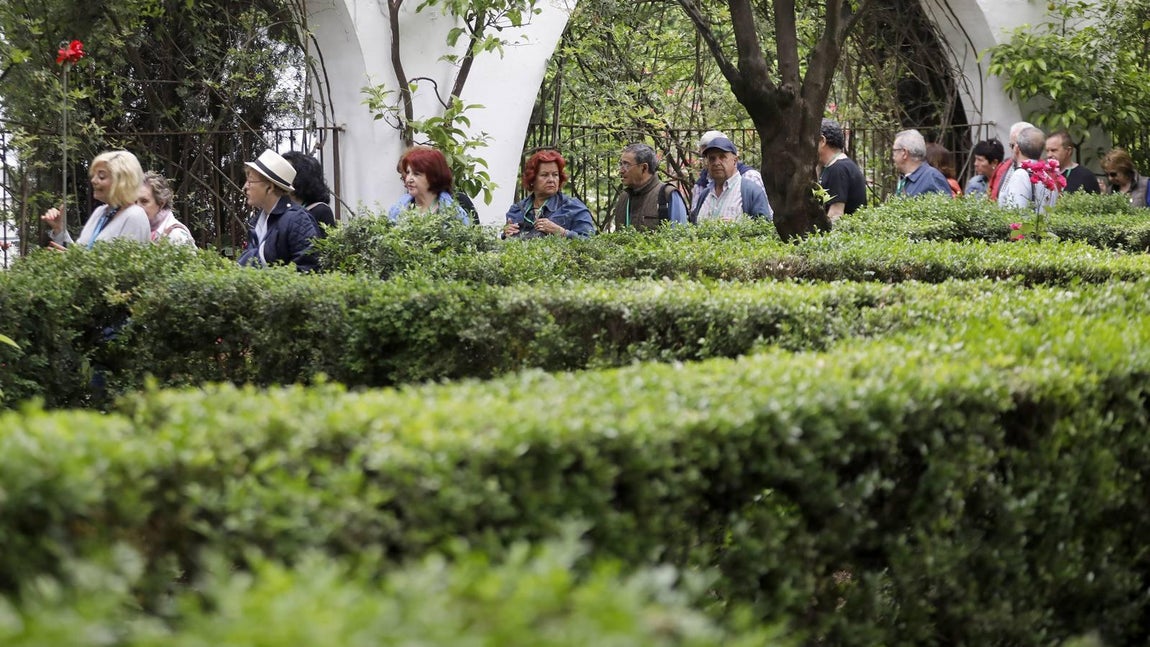 Los patios del Palacio de Viana de Córdoba, en imágenes