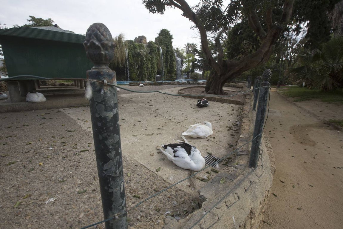 El Pemán, punto negro del parque Genovés