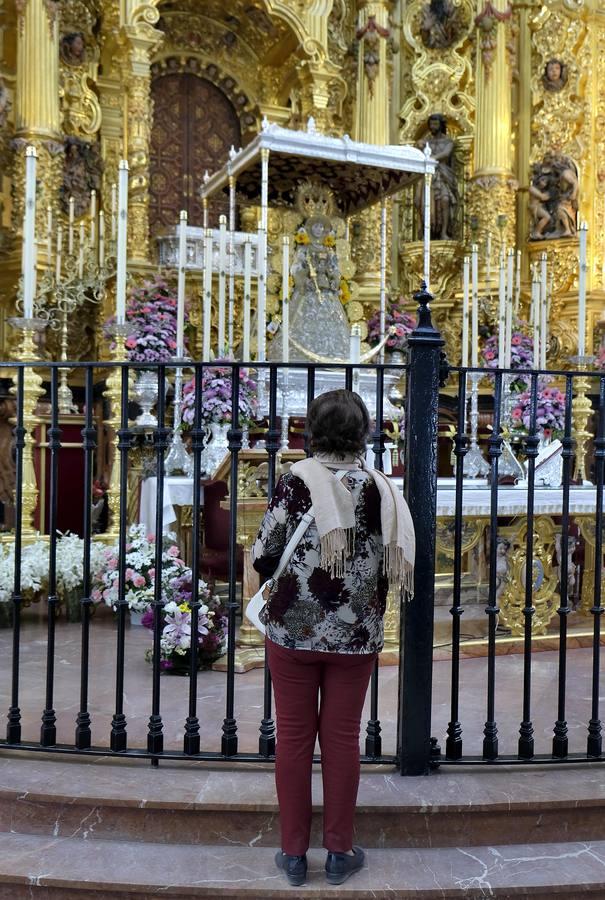 En imágenes: la aldea se prepara para la romería de el Rocío 2018