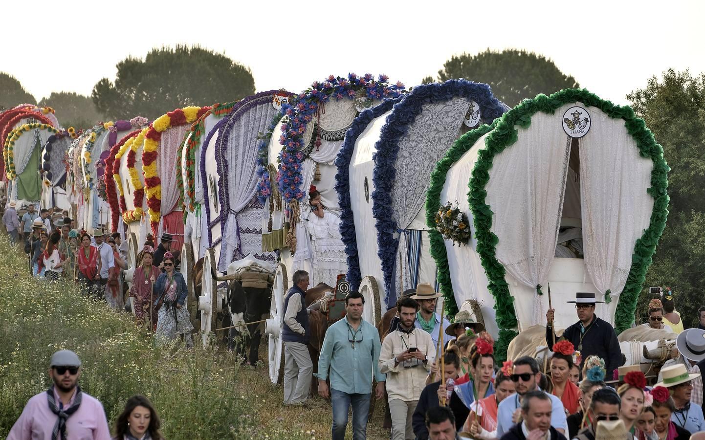 La fila de carretas de la hermandad de Triana