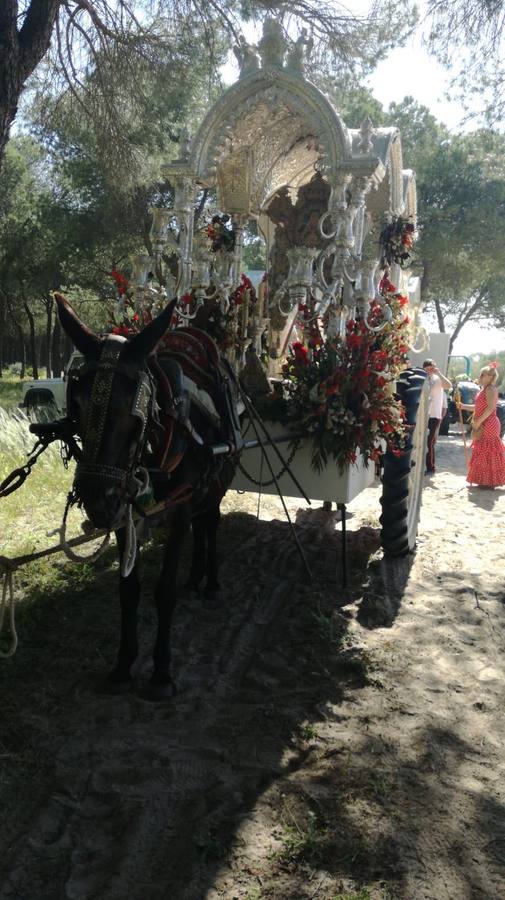 El Rocío 2018: en imágenes, el camino de las hermandades cordobesas (II)