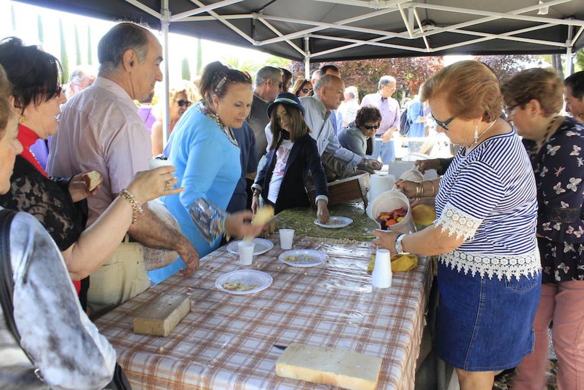 La romería del Santo Ángel Custodio, en imágenes