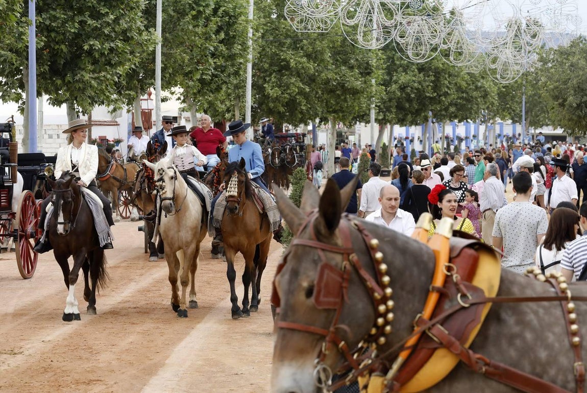 El domingo de Feria de Córdoba, en imágenes