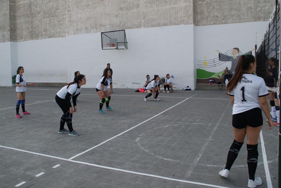 Las mejores imágenes del partido de voleibol juvenil femenino entre Raimundo Lulio y San Patricio Soto