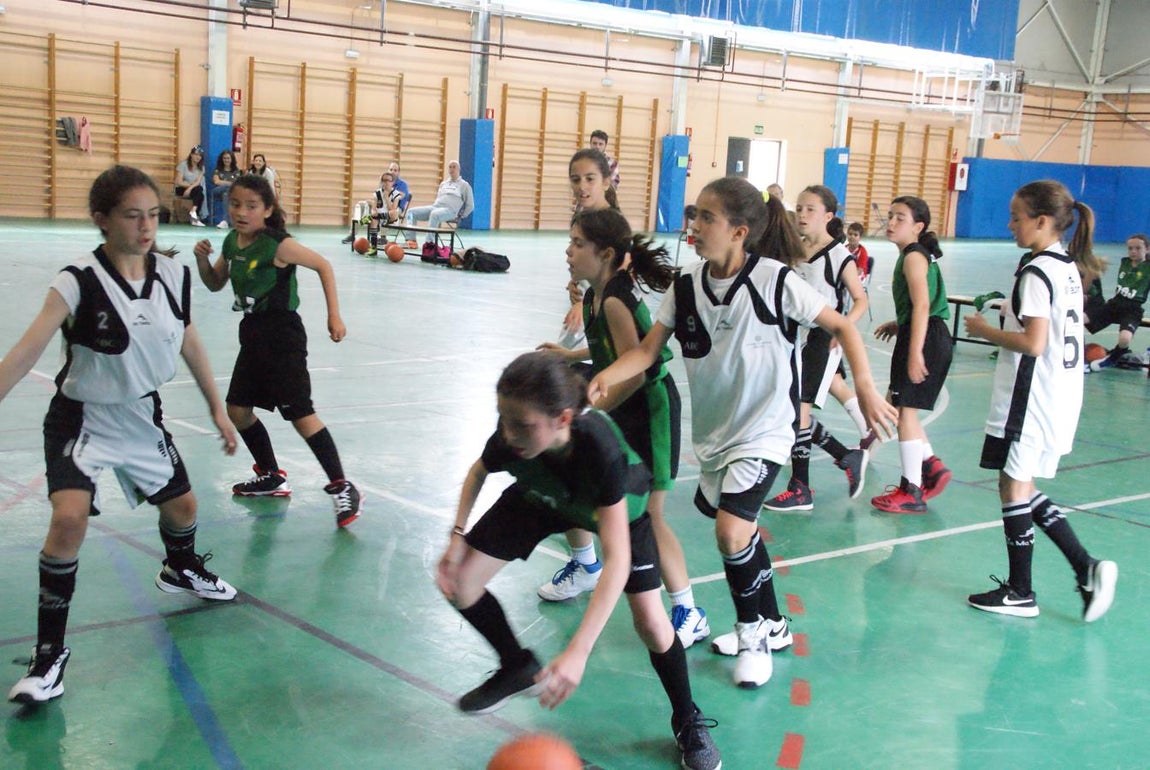 Las mejores imágenes del partido de baloncesto alevín femenino entre Valdefuentes y Patrocinio San José