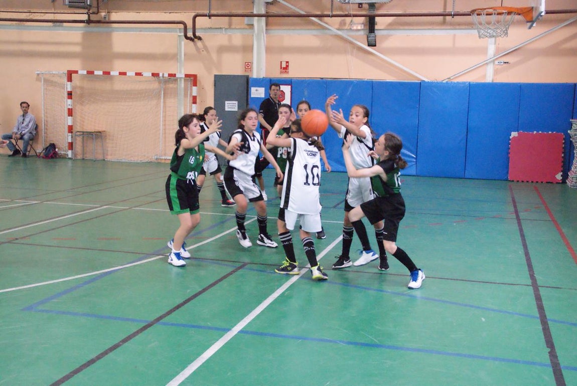 Las mejores imágenes del partido de baloncesto alevín femenino entre Valdefuentes y Patrocinio San José