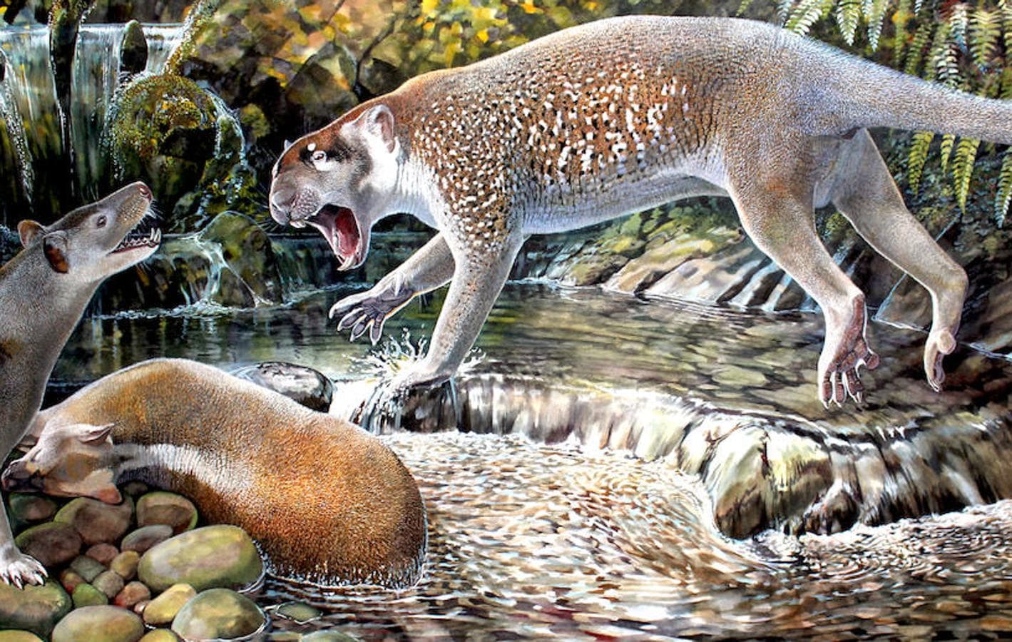 8. Wakaleo schouteni. Un león marsupial que vivió hace unos 23 millones de años. Australia. Firma recreación: Peter Schouten. 