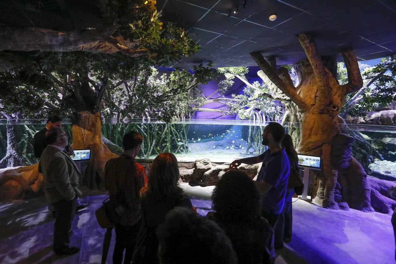 El imágenes, el nuevo acuario abre sus puertas