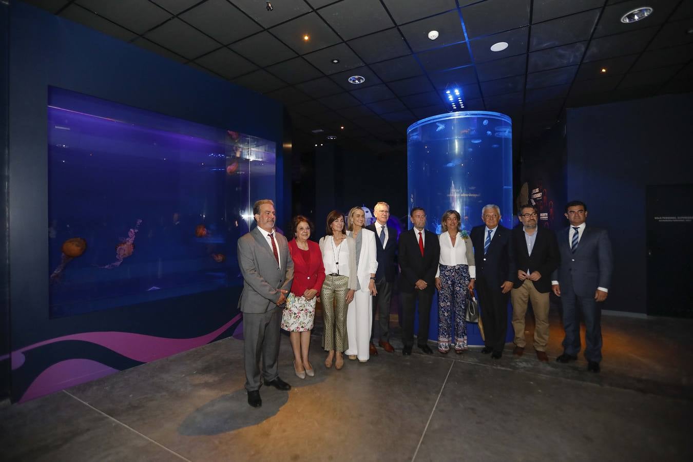 El imágenes, el nuevo acuario abre sus puertas