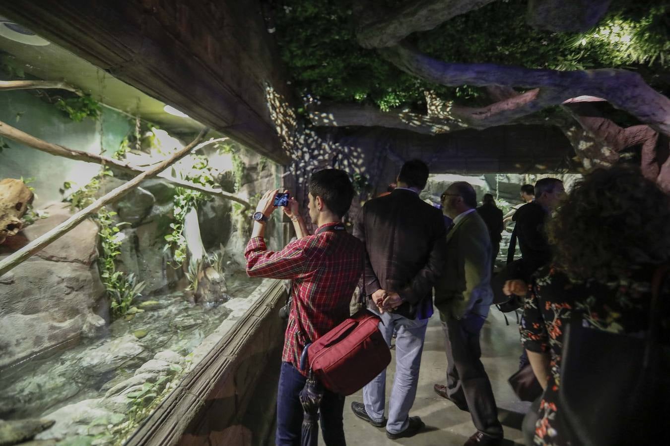 El imágenes, el nuevo acuario abre sus puertas