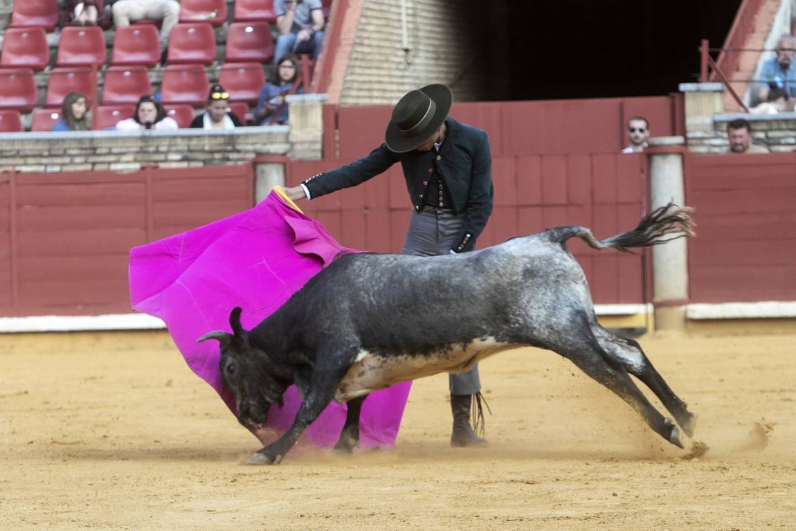 La Becerrada por la mujer cordobesa, en imágenes