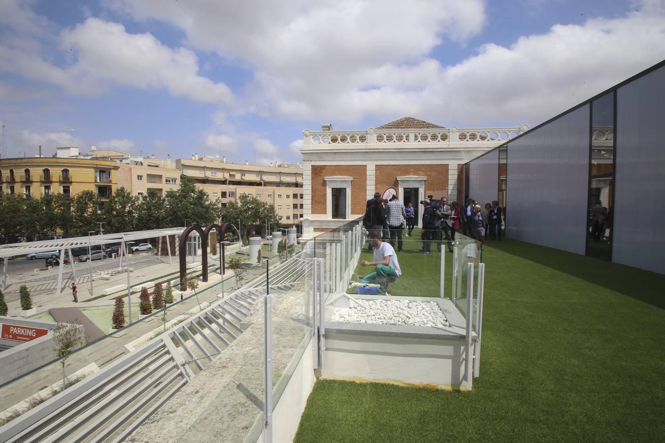 En imágenes: El nuevo gimnasio de la Estación de Cádiz de Sevilla