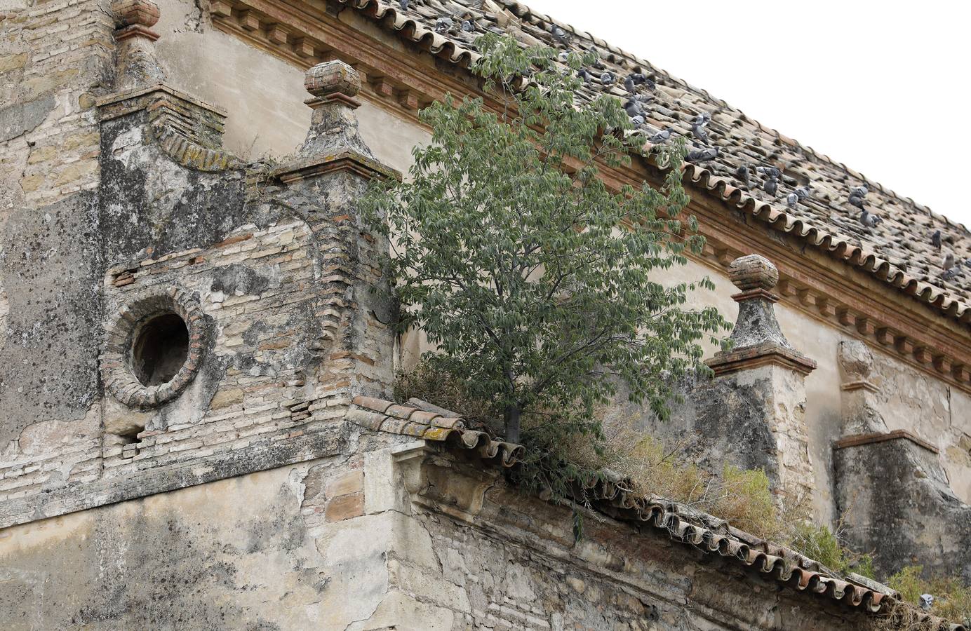 En imágenes, el deterioro de rincones históricos en el Casco de Córdoba