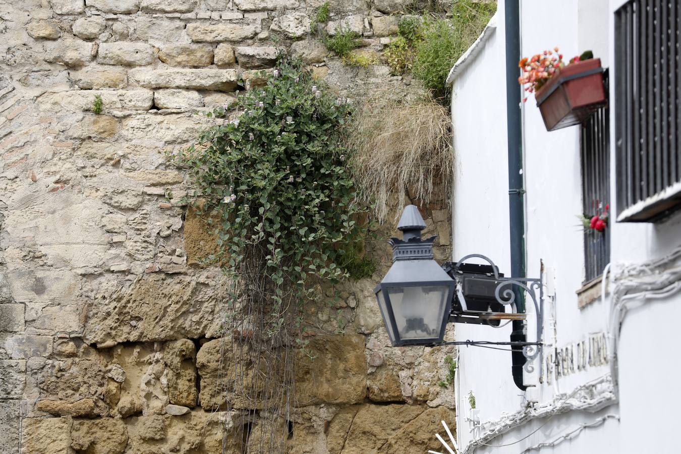 En imágenes, el deterioro de rincones históricos en el Casco de Córdoba