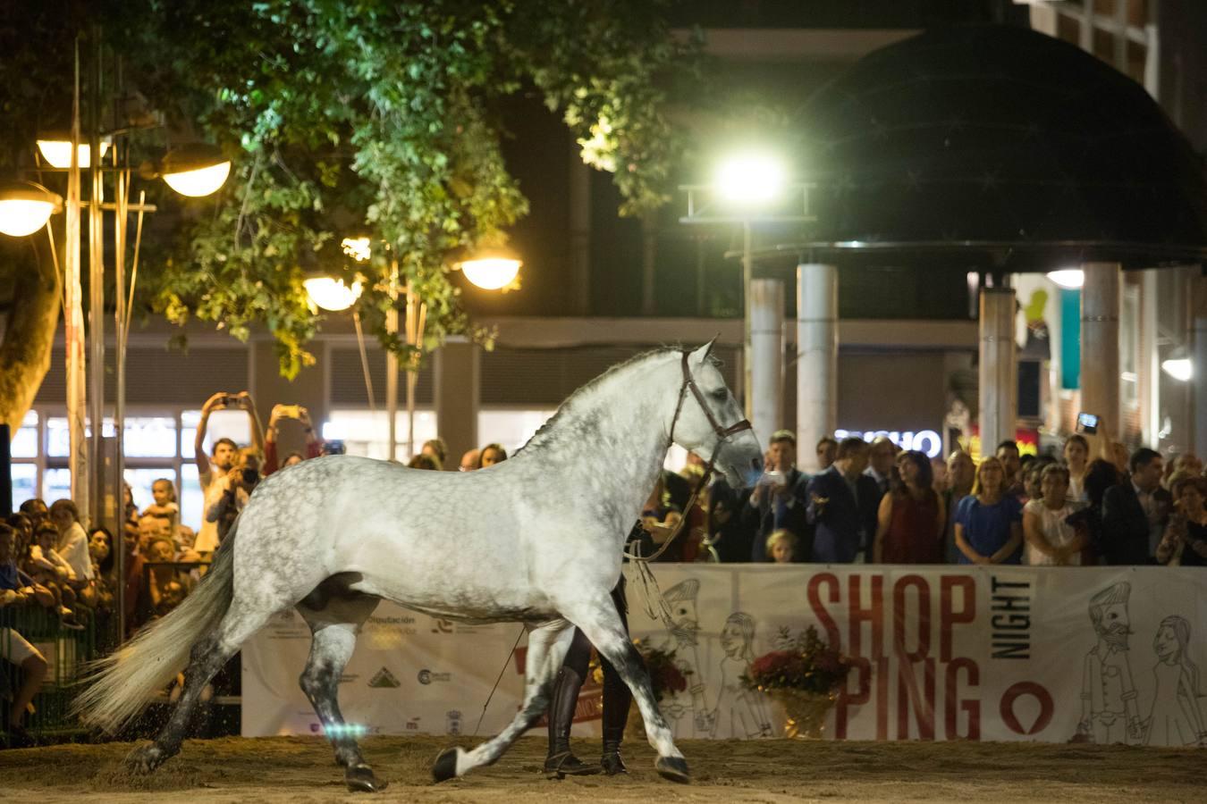 La Shopping Night de Córdoba, en imágenes