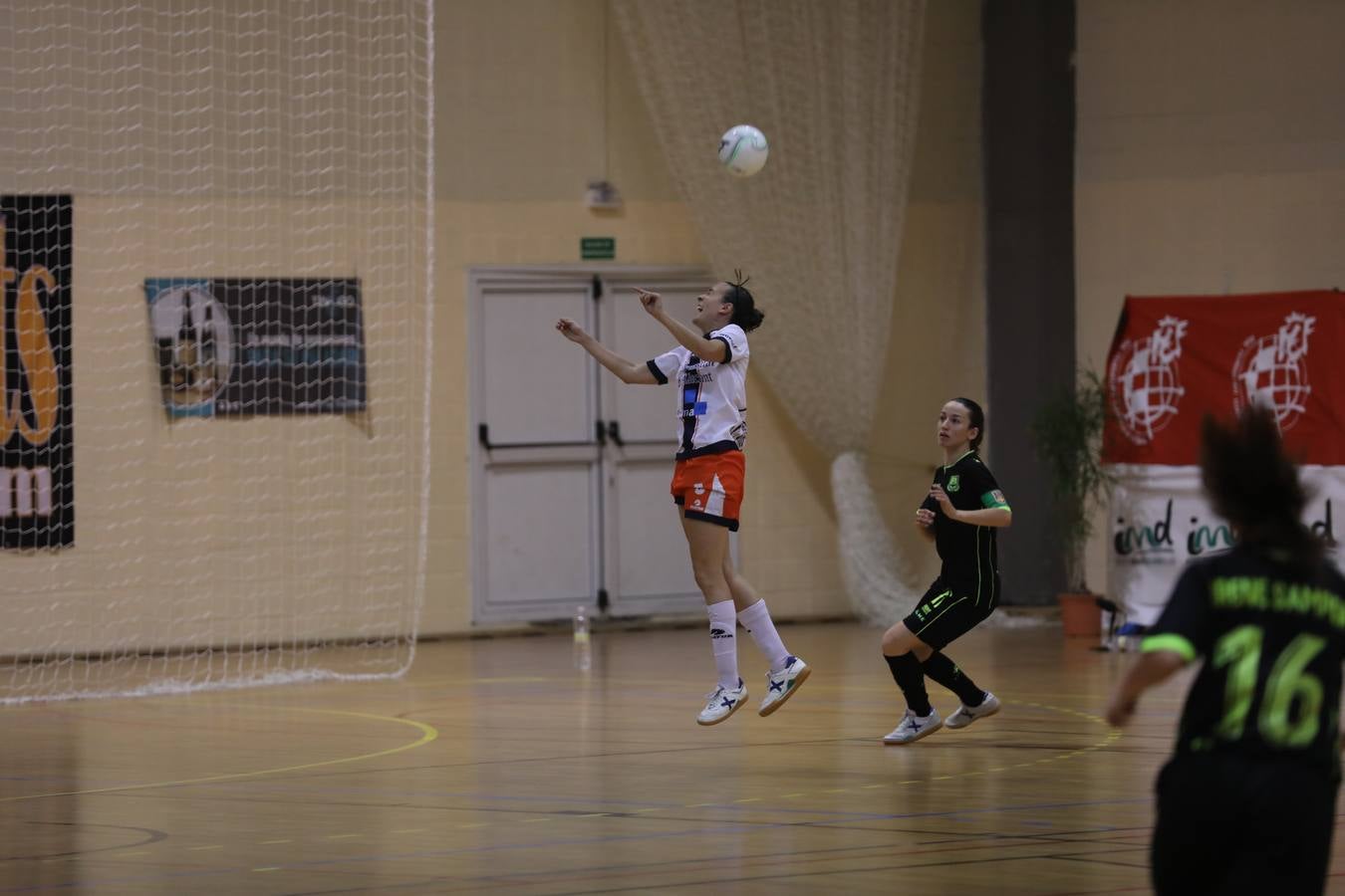 Fotos: Universidad de Alicante - Alcorcón. Copa España de Fútbol Sala