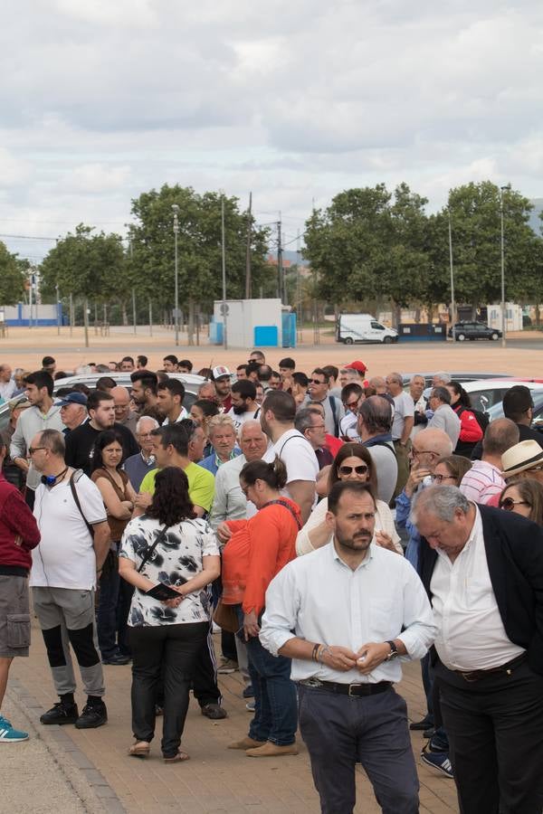 Regalan 5.000 kilos de patata nueva en Sevilla