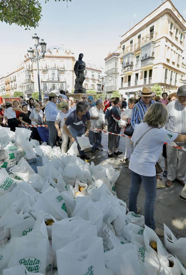 Regalan 5.000 kilos de patata nueva en Sevilla