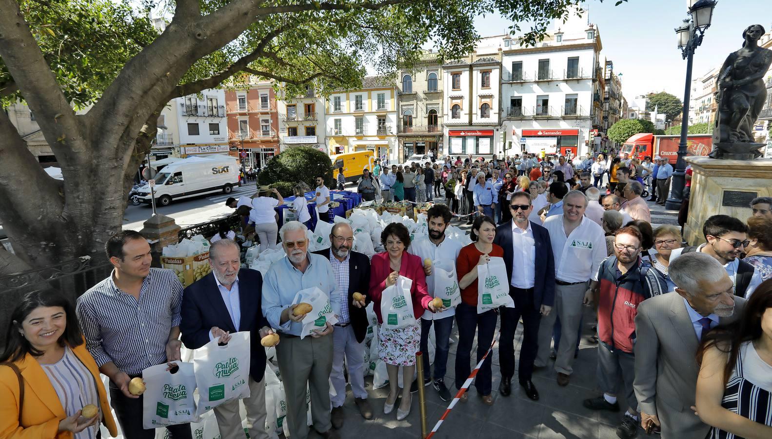 Regalan 5.000 kilos de patata nueva en Sevilla