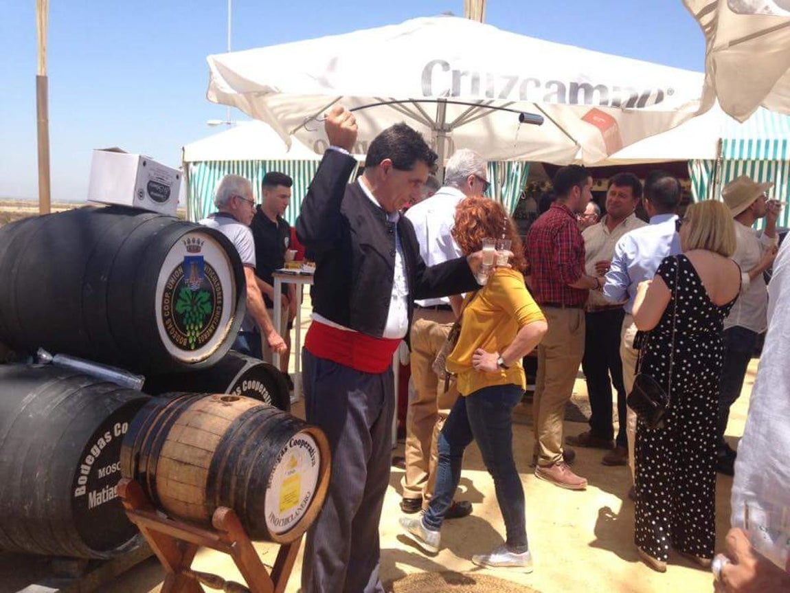 FOTOS: Feria de San Antonio en Chiclana