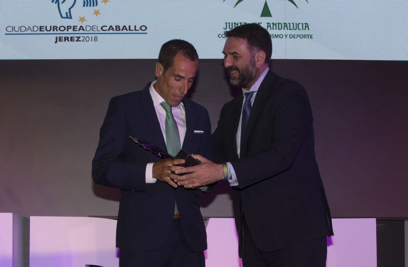 Premios Andalucía de los Deportes 2017