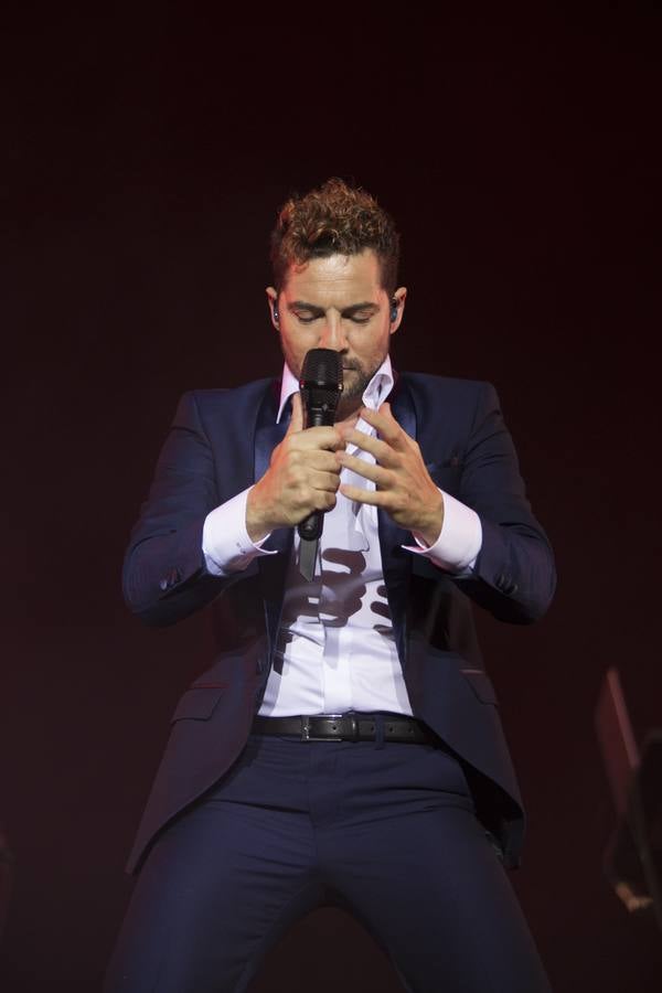 En imágenes, el concierto de David Bisbal en Sevilla