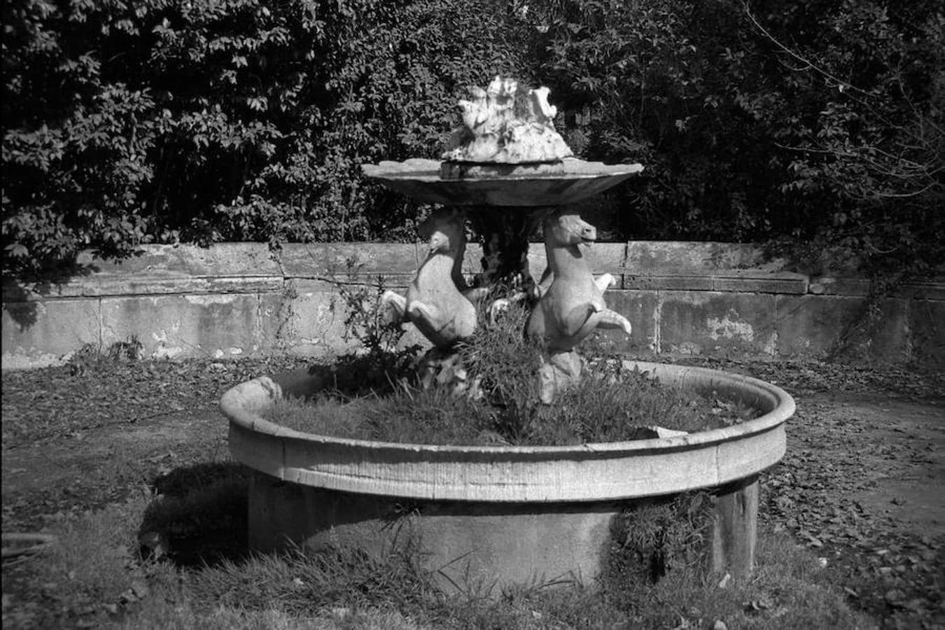 16. Fuente de los caballos marinos. Esta fuente se encontraba en medio de una lámina de agua y es reproducción de una que existe en Villa Borghese, en Roma