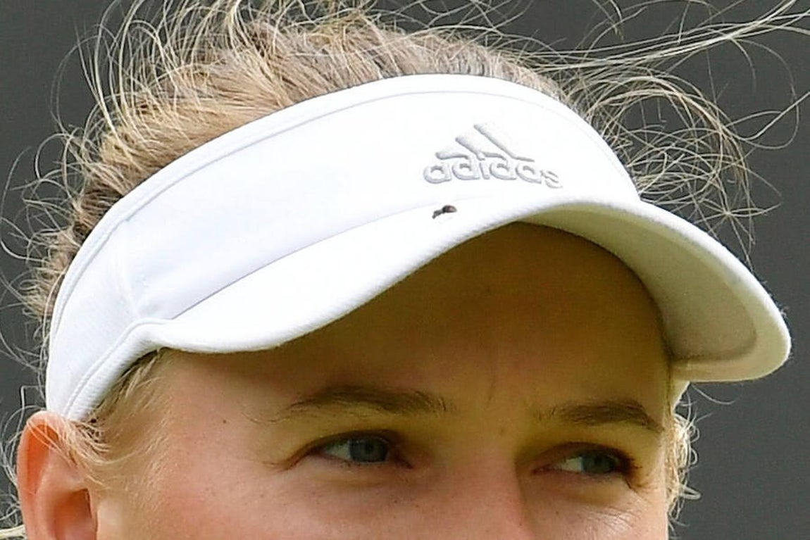 Las hormigas atacan a Caroline Wozniacki
