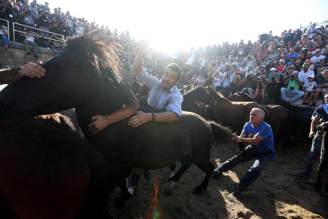 Las fotografías más impactantes de la Rapa das Bestas 2018