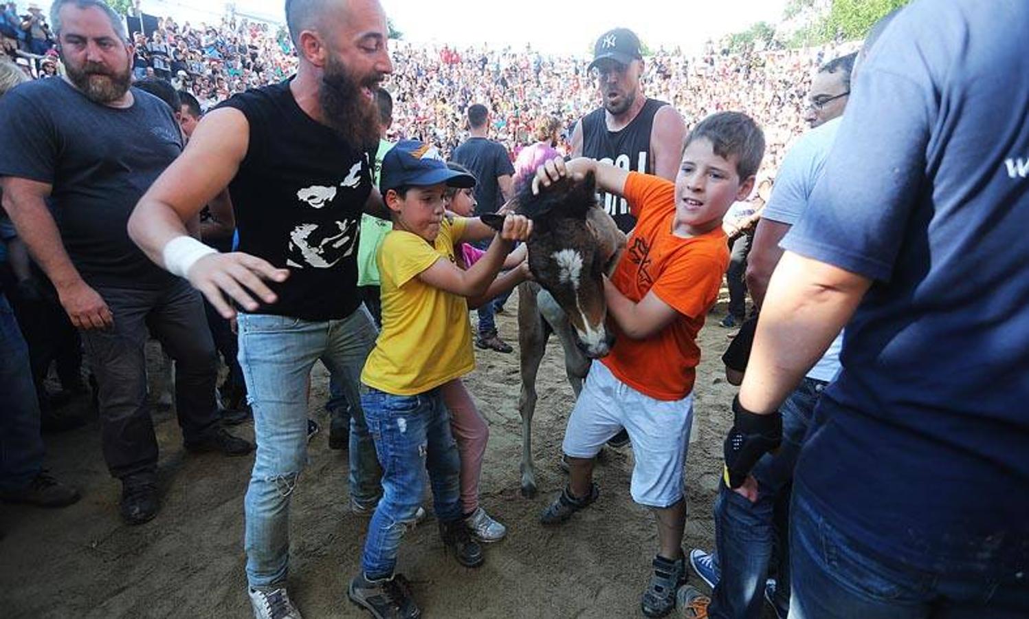 Las fotografías más impactantes de la Rapa das Bestas 2018