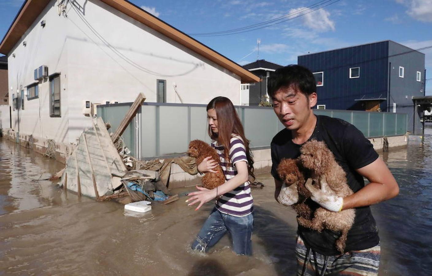 Una de las peores catástrofes naturales de las últimas décadas. Las precipitaciones han causado graves daños en miles de viviendas e infraestructuras, provocado la evacuación de decenas de miles de personas y dejado aisladas a poblaciones enteras