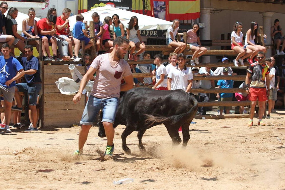 Llegan las vaquillas a La Puebla de Montalbán