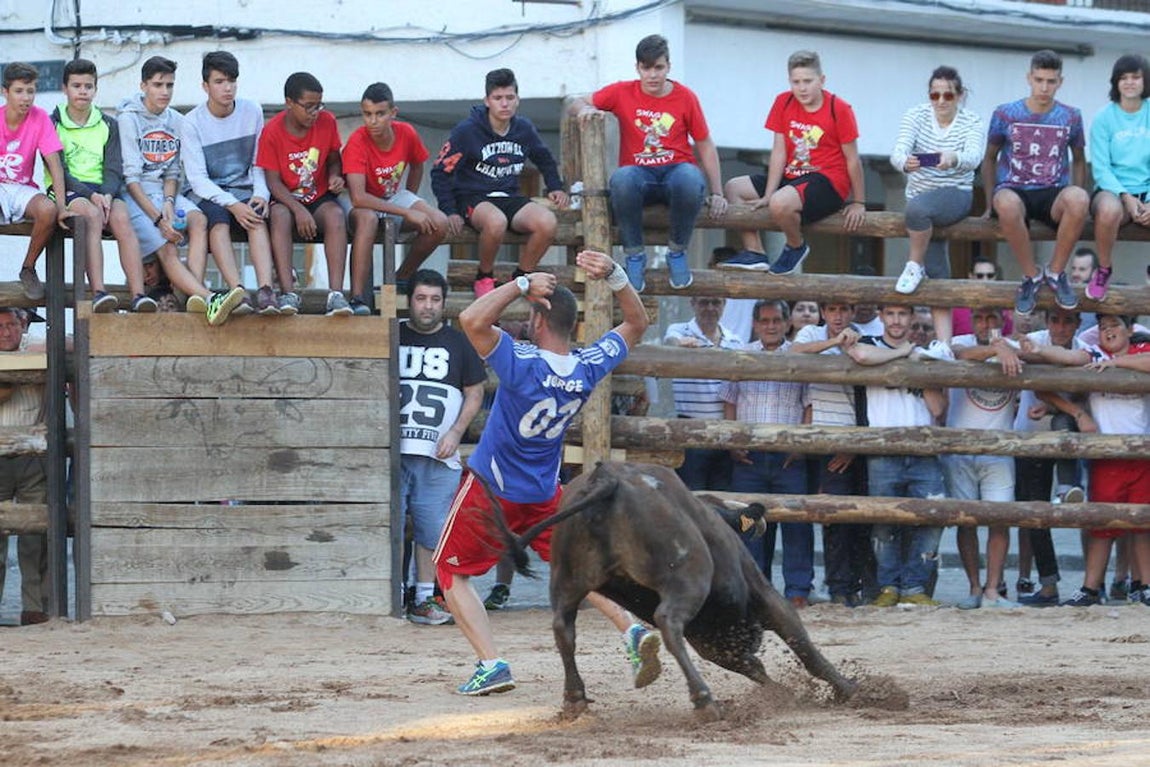Llegan las vaquillas a La Puebla de Montalbán
