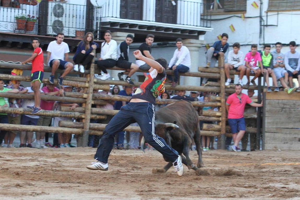 Llegan las vaquillas a La Puebla de Montalbán