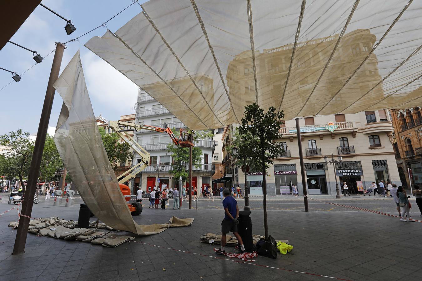 Colocación de toldos en el Centro de Sevilla por el calor